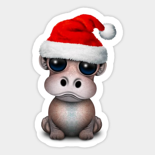 Baby Hippo Wearing a Santa Hat Sticker by jeffbartels